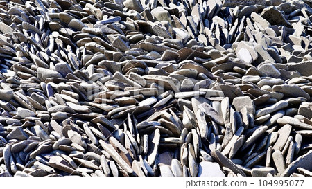 長崎縣壹岐市龍子海灘的柱狀節理放大照片 104995077