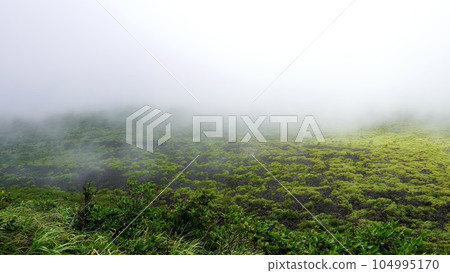 Mount Mihara on Oshima Island in the Izu Islands with white clouds Mount Mihara on Oshima Island in the Izu Islands with white clouds 104995170