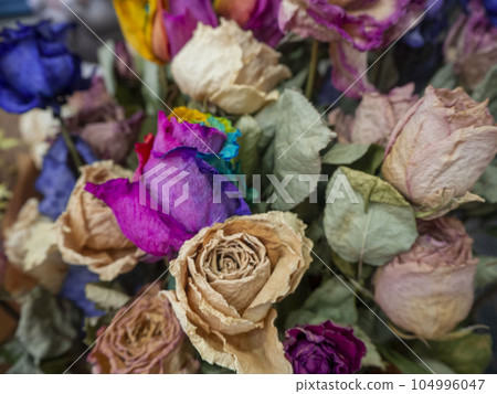 Dry flowers in color 104996047
