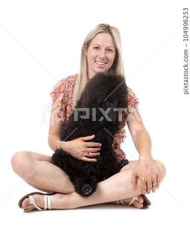 standard poodle and woman 104996253