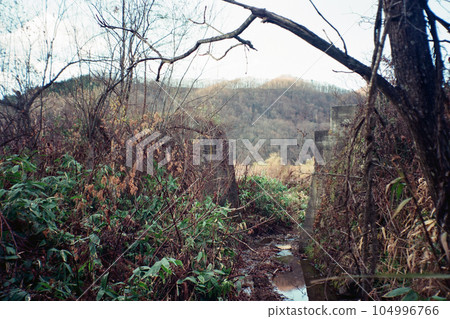 萬吉泉朝日 - Biryudo Hashidate 104996766