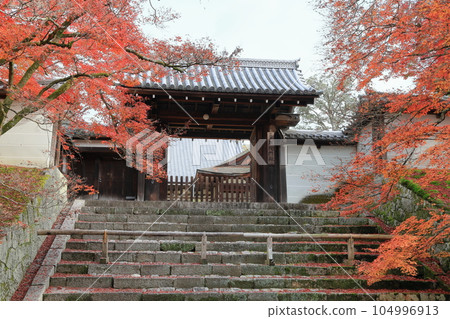 Autumn leaves and mountain gate 104996913