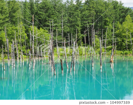 Platinum Blue Pond 104997389