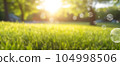Beautiful blurred background of a green park at dawn. 104998506
