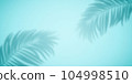 Shadow from palm leaves on a turquoise background. 104998510