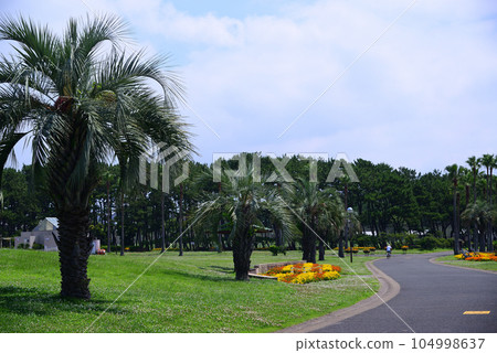 寬敞的辻堂海濱公園 寬敞的辻堂海濱公園 104998637