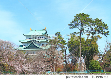 盛開的櫻花和名古屋城的風景 104998985