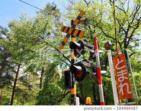 Railroad crossing alarm in the forest Warning signs and warning lights 104999387