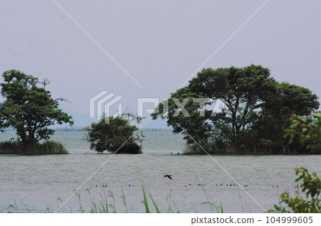 Hubei Waterfowl Park Hubei Waterfowl Park 104999605