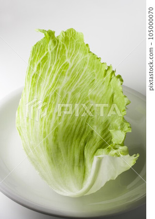 盤子裡的生菜 盤子裡的生菜 105000070