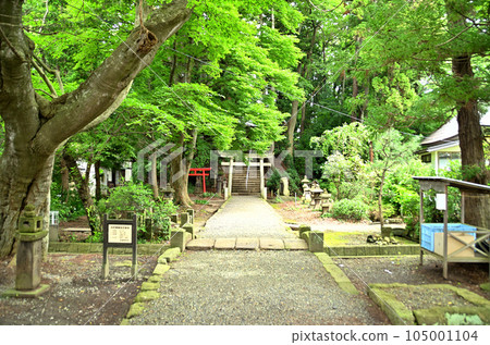 Ichimiyama Hachiman Shrine in Ichimimachi, Aizuwakamatsu City, Fukushima Prefecture Ichimiyama Hachiman Shrine in Ichimimachi, Aizuwakamatsu City, Fukushima Prefecture 105001104