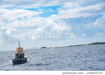 Whale watching 105001570