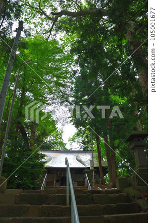 Ichimiyama Hachiman Shrine in Ichimimachi, Aizuwakamatsu City, Fukushima Prefecture Ichimiyama Hachiman Shrine in Ichimimachi, Aizuwakamatsu City, Fukushima Prefecture 105001677