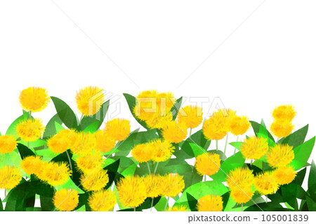 Safflower flower card 1 105001839