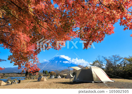 Image of the autumn campsite Mt.Fuji and the autumn leaves of the Lake Tanuki campsite 105002505