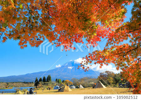 Image of the autumn campsite Mt.Fuji and the autumn leaves of the Lake Tanuki campsite 105002512