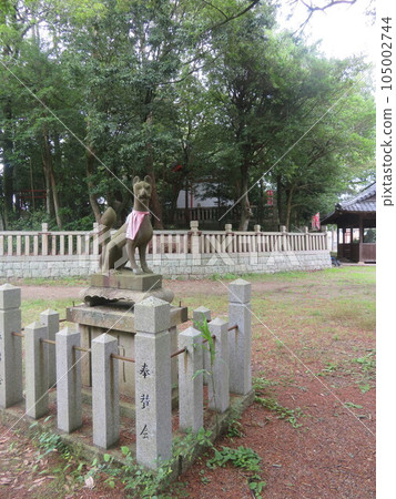 干城稻成桑 干城稻成桑 105002744