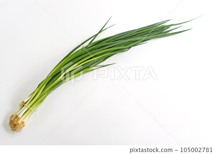 一個小洋蔥 105002781