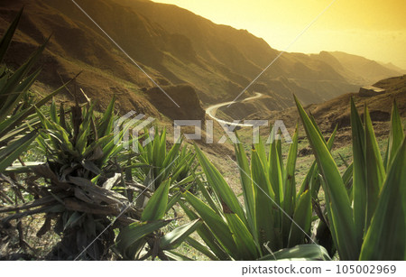 AFRICA CAPE VERDE SANTO ANTAO 105002969