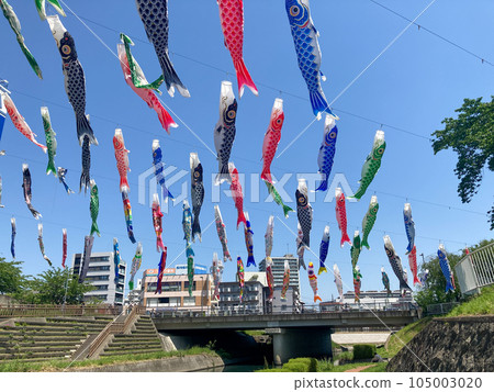 Carp streamer for Children's Day Carp streamer for Children's Day 105003020