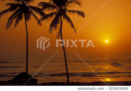INDIA GOA LANDSCAPE BEACH INDIA GOA LANDSCAPE BEACH 105003480