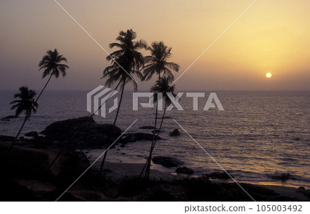 INDIA GOA LANDSCAPE BEACH 105003492