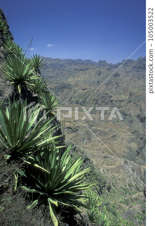 AFRICA CAPE VERDE SANTO ANTAO HIKING TRAIL AFRICA CAPE VERDE SANTO ANTAO HIKING TRAIL 105003522