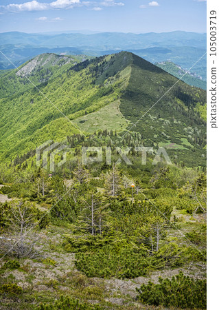 Mountain scenery, Little Fatra, Slovakia Mountain scenery, Little Fatra, Slovakia 105003719