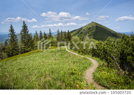Mountain scenery, Little Fatra, Slovakia Mountain scenery, Little Fatra, Slovakia 105003720
