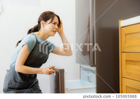 Woman in the kitchen Refrigerator Woman in the kitchen Refrigerator 105003988