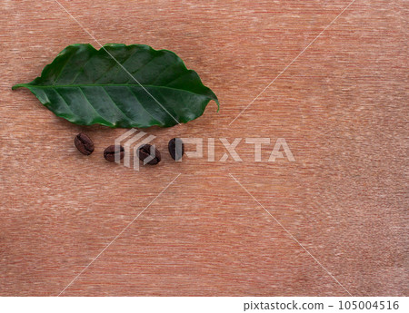 Close up coffee beans and fresh green leaf 105004516