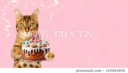 Ginger cat with a birthday cake and candles on a festive background. Ginger cat with a birthday cake and candles on a festive background. 105004849