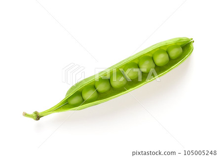 Green peas, open pod, from above. Insight into an open fresh pea pod, with ripe, raw, green fruits, seeds of Pisum sativum, a flowering annual plant. Used as a vegetable. From above, macro food photo. Green peas, open pod, from above. Insight into an open fresh pea pod, with ripe, raw, green fruits, seeds of Pisum sativum, a flowering annual plant. Used as a vegetable. From above, macro food photo. 105005248