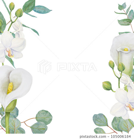 Watercolor frame of white calla lily, orchid flowers and eucalipt. Hand drawn floral illustration for wedding invitations, floristic, beauty salon. Isolated tropical water arum for greeting 105006184