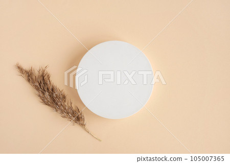 Podium for cosmetic product presentation. Abstract minimal geometrical form. Cylinder podium with dry pampas grass, soft shadow. Scene to show products. Showcase, display case. Flat lay, top view Podium for cosmetic product presentation. Abstract minimal geometrical form. Cylinder podium with dry pampas grass, soft shadow. Scene to show products. Showcase, display case. Flat lay, top view 105007365