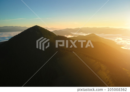Aerial view of bright foggy morning over dark peak with mountain forest trees at autumn sunrise. Beautiful scenery of wild woodland at dawn 105008362