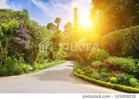 Sunrise in beautiful summer park Sunrise in beautiful summer park 105009038