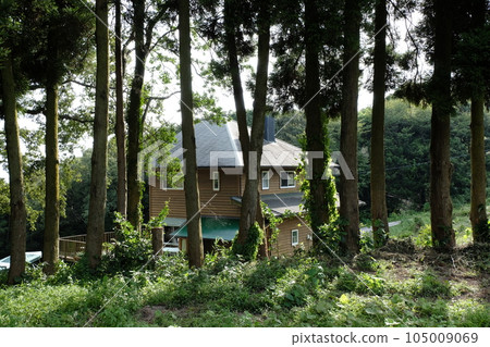 杵築智能農場生態小屋杵築露營地 杵築智能農場生態小屋杵築露營地 105009069