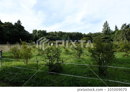 杵築智能農場生態小屋杵築露營地 杵築智能農場生態小屋杵築露營地 105009070
