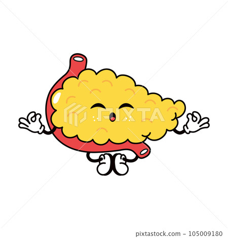 Pancreas doing yoga character. Vector hand drawn traditional cartoon vintage, retro, kawaii character illustration icon. Isolated on white background. Pancreas relax character Pancreas doing yoga character. Vector hand drawn traditional cartoon vintage, retro, kawaii character illustration icon. Isolated on white background. Pancreas relax character 105009180
