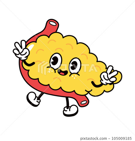 Jumping Pancreas character. Vector hand drawn traditional cartoon vintage, retro, kawaii character illustration icon. Isolated on white background. Pancreas jump character concept Jumping Pancreas character. Vector hand drawn traditional cartoon vintage, retro, kawaii character illustration icon. Isolated on white background. Pancreas jump character concept 105009185