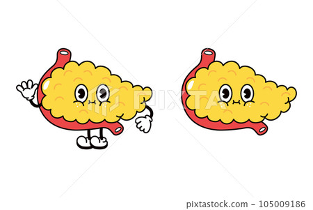 Pancreas character. Vector hand drawn traditional cartoon vintage, retro, kawaii character illustration icon. Isolated on white background. Pancreas character concept Pancreas character. Vector hand drawn traditional cartoon vintage, retro, kawaii character illustration icon. Isolated on white background. Pancreas character concept 105009186