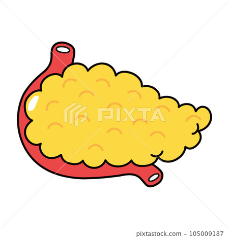 Pancreas character. Vector hand drawn traditional cartoon vintage, retro, kawaii character illustration icon. Isolated on white background. Pancreas character concept Pancreas character. Vector hand drawn traditional cartoon vintage, retro, kawaii character illustration icon. Isolated on white background. Pancreas character concept 105009187
