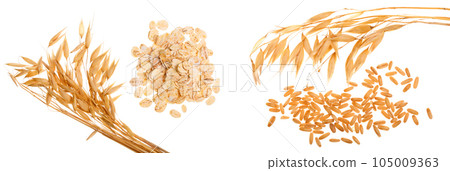 oat spike with oat flakes isolated on white background. Top view 105009363