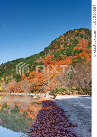 Katanuma in autumn leaves Fallen leaves on the shore Katanuma in autumn leaves Fallen leaves on the shore 105010684
