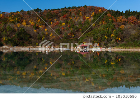 Katanuma in Miyagi, a water mirror with autumn leaves 105010686