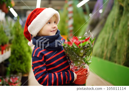 Cute little boy in Santa hat holding a poinsettia 105011114
