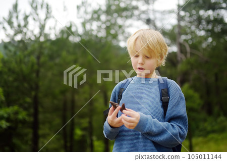 School child with backpack is hiking and exploring nature in the forest. Little boy is traveling in the woodland. Child examines a pine cone. Summer camp vacation for inquisitive kids. 105011144