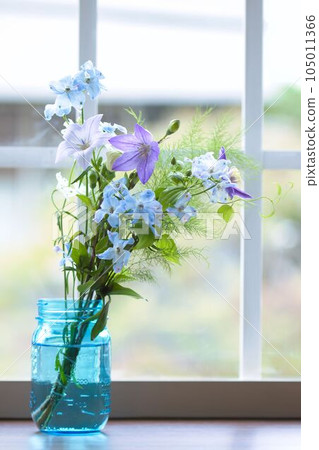 Flowers in a vase by the window Flowers in a vase by the window 105011366