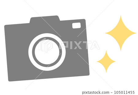 具有閃亮圖像的相機 105011455